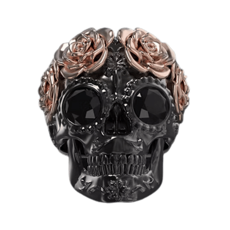 Anillos de calavera